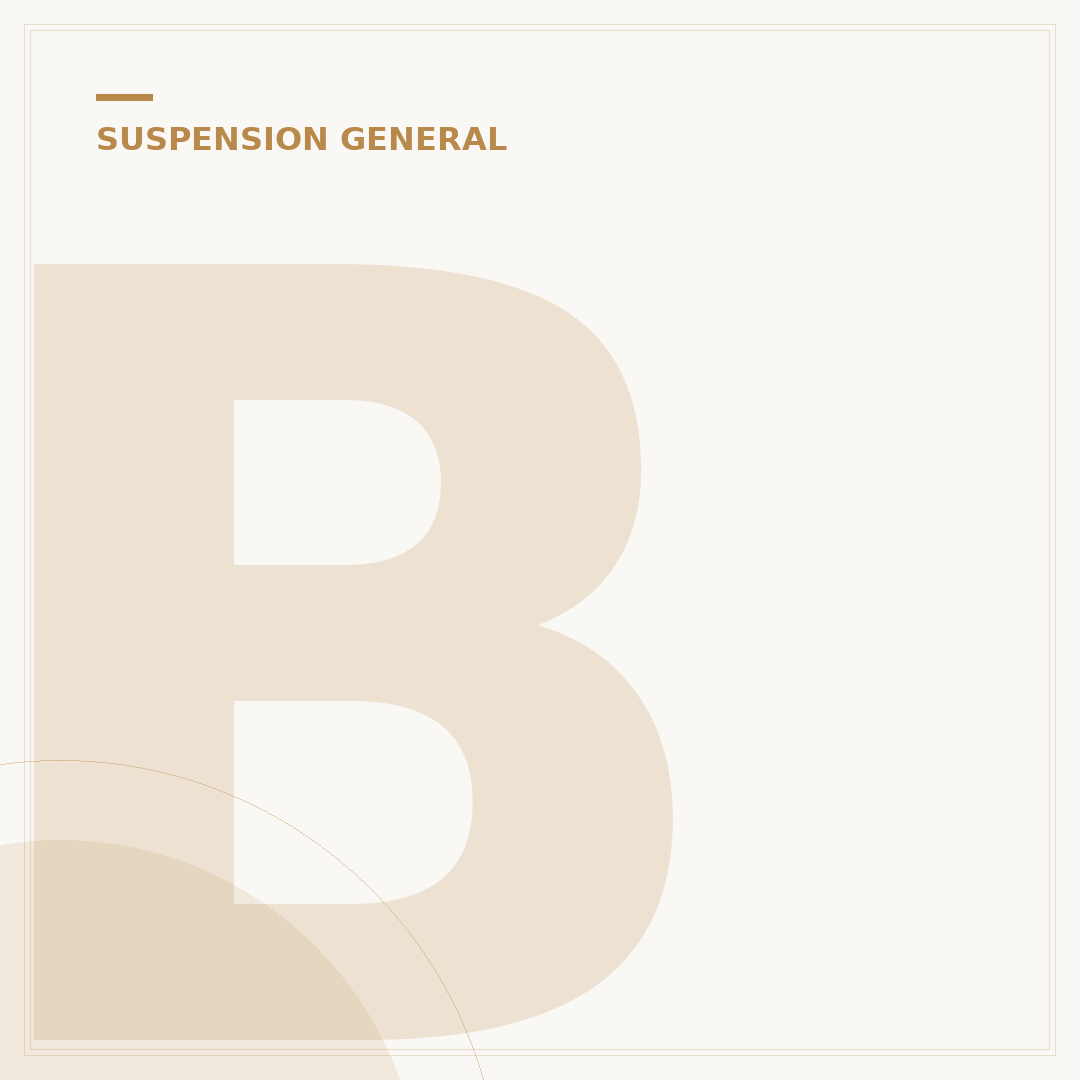 Best Air Bags for Rear Suspension: 2024 Buyer's Guide