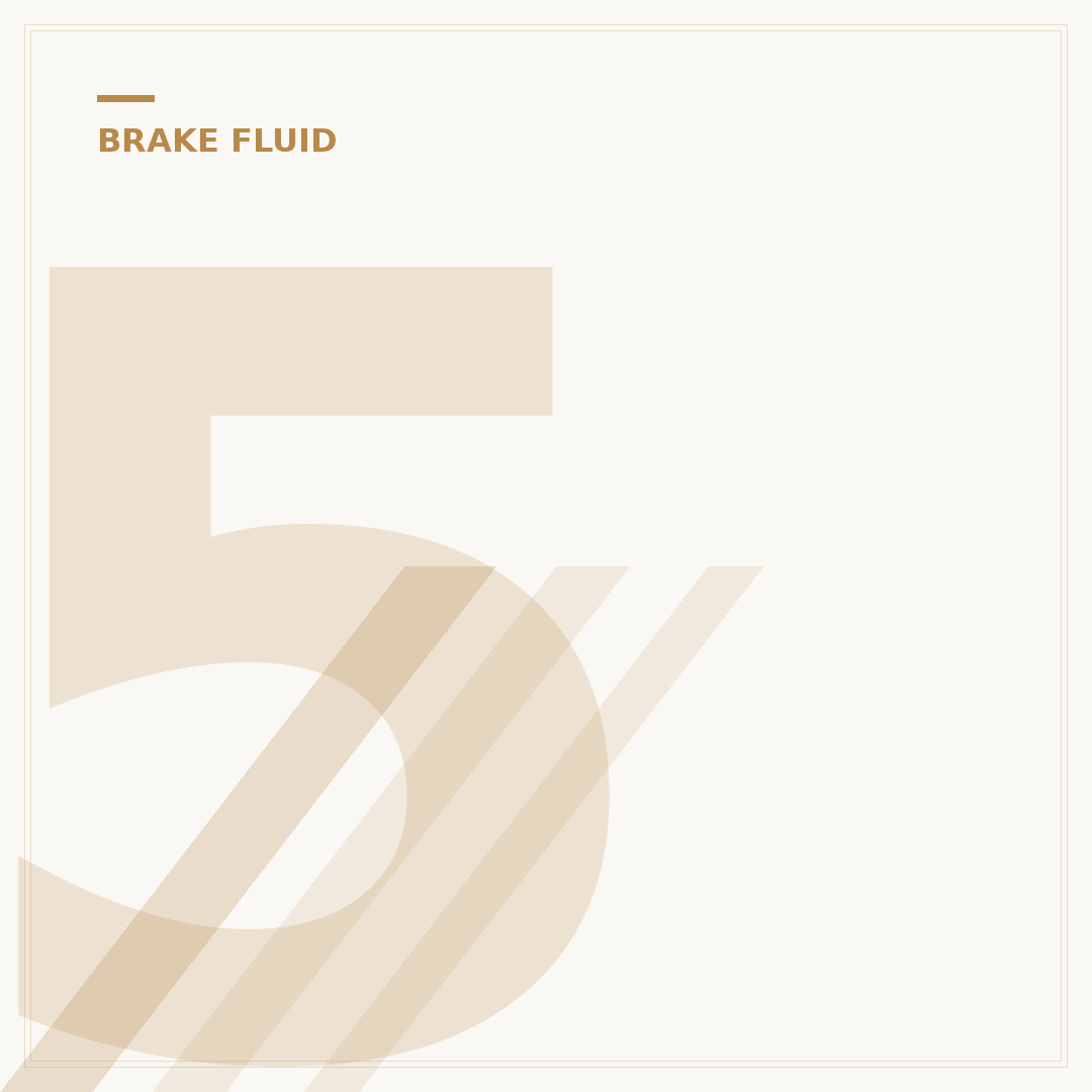5 Signs Your Brake Fluid Is Leaking Fast
