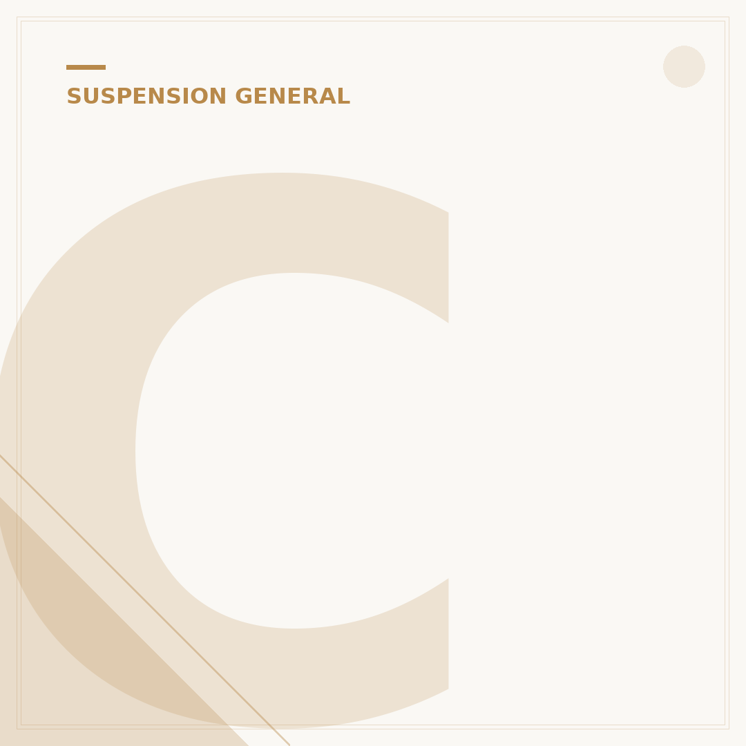 Custom Air Bag Suspension: 5 Key Benefits & Drawbacks