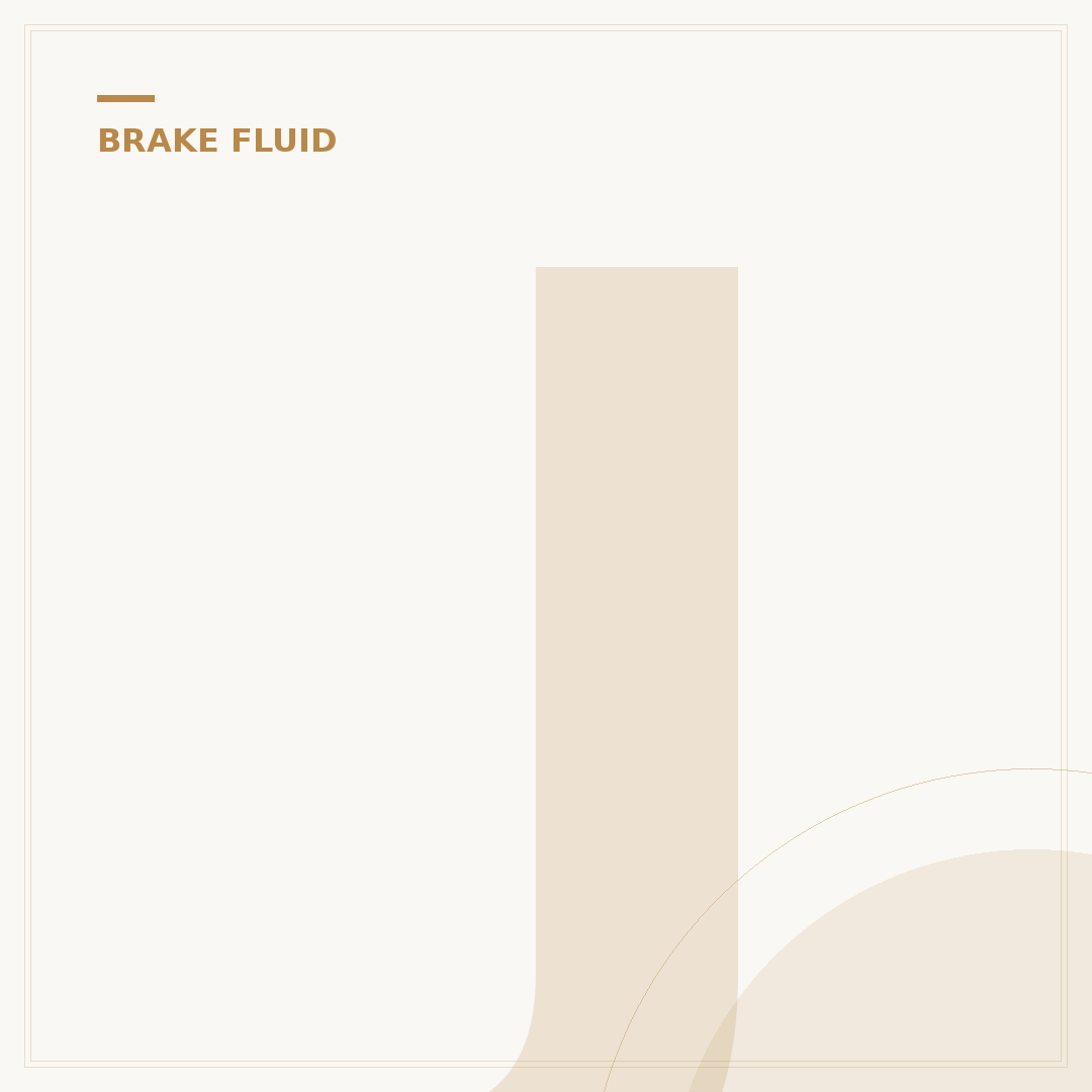 Jiffy Lube Brake Fluid Exchange Cost: 2024 Insights