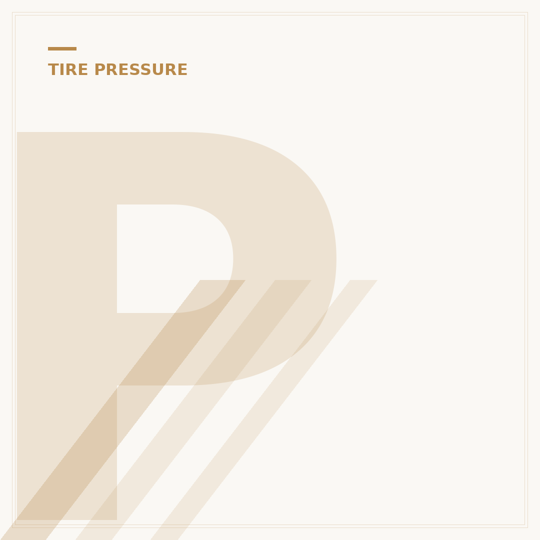 Proper MTB Tire Pressure: Your 2024 Rider's Guide