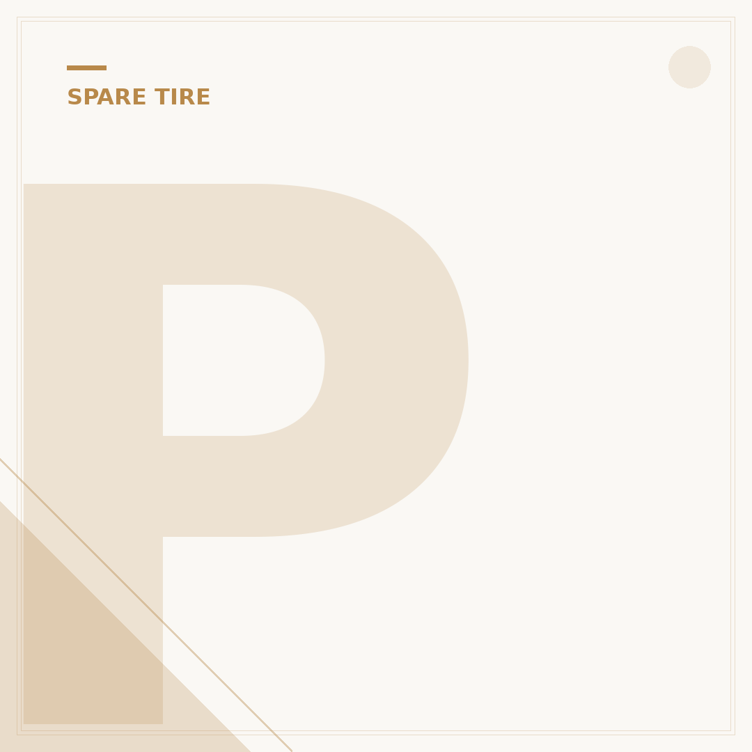 Polaris Spare Tire Holder: 5 Key Benefits & 3 Drawbacks