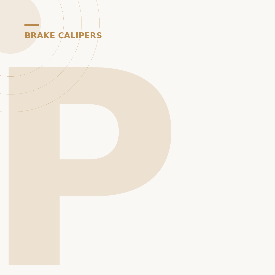 Porsche Brake Calipers: 5 Common Issues & Expert Solutions