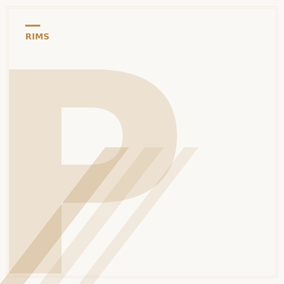 Primo Tire Shop: 3 Key Criteria for Finding the Best Local Service