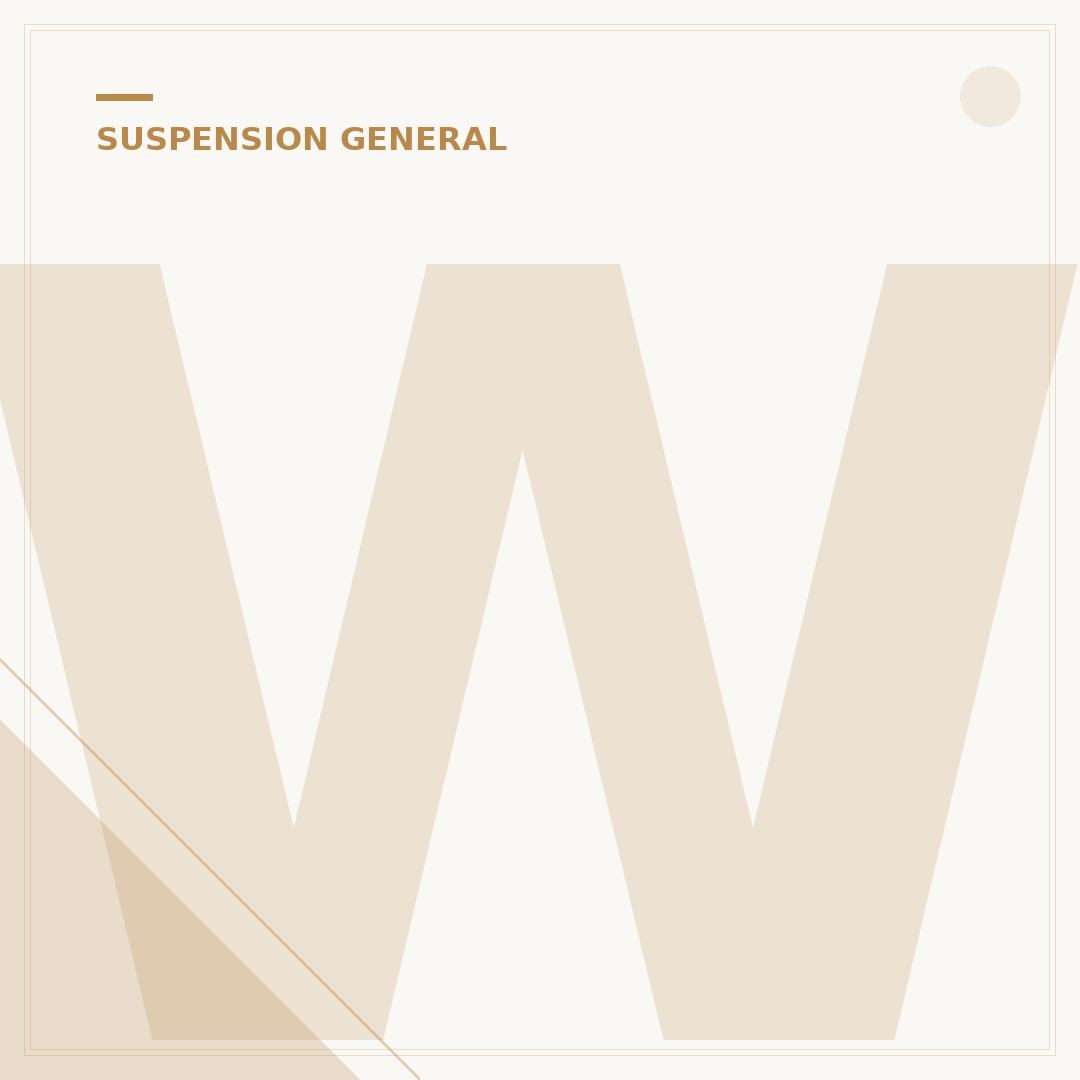 What Is the Purpose of Suspension? 5 Key Functions Explained