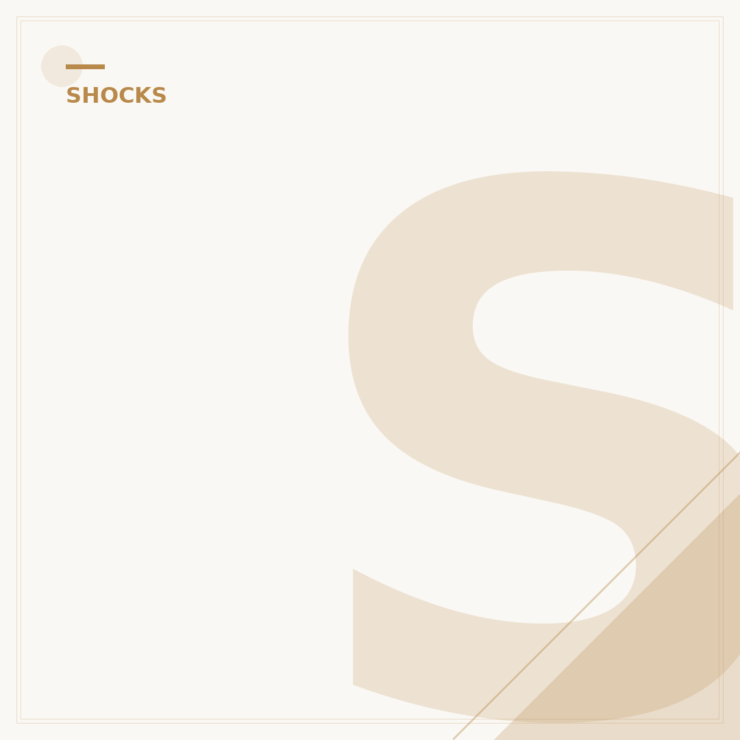 Shock Absorbers for Cars: 5 Signs You Need Replacements