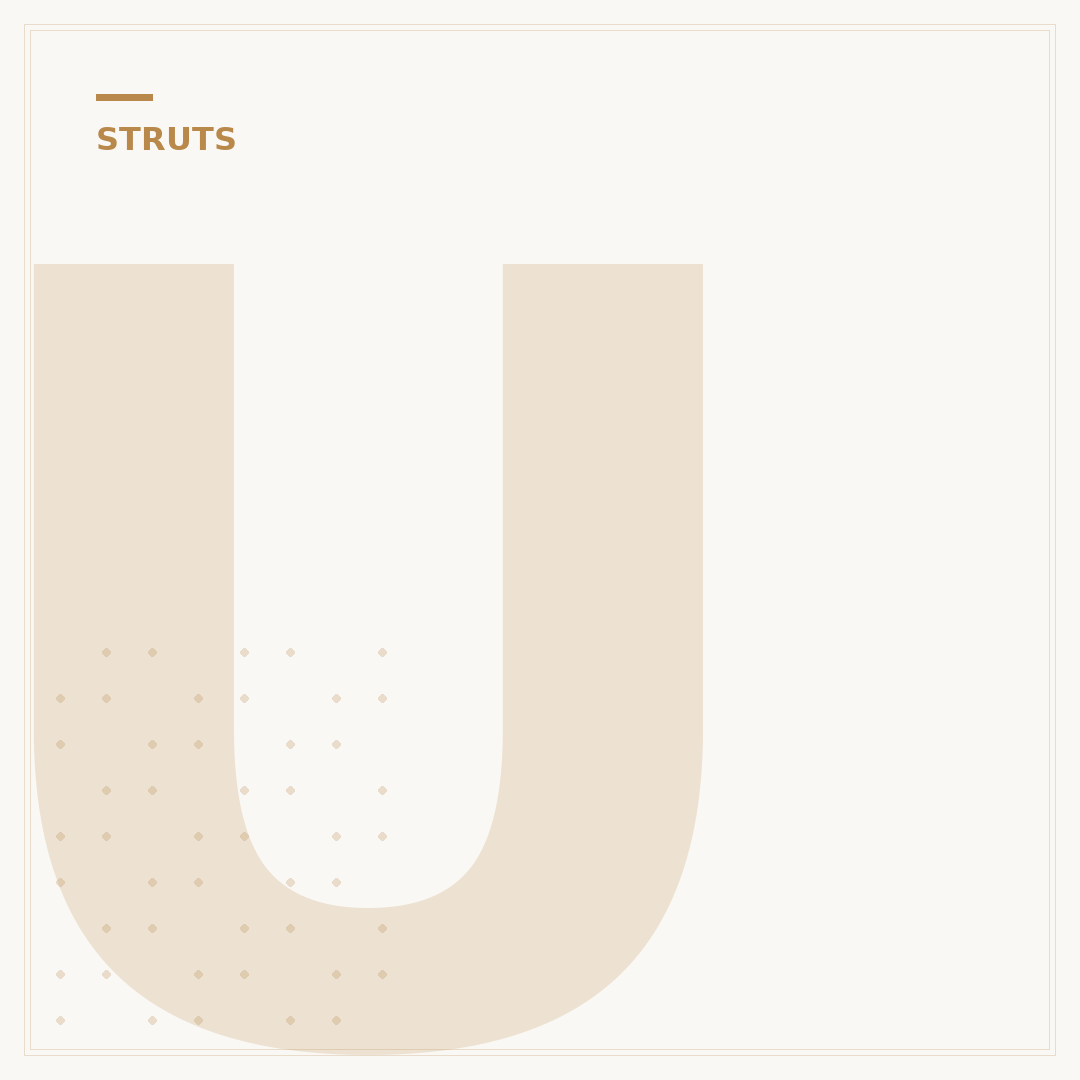 Understanding Struts: 5 Key Applications & Solutions