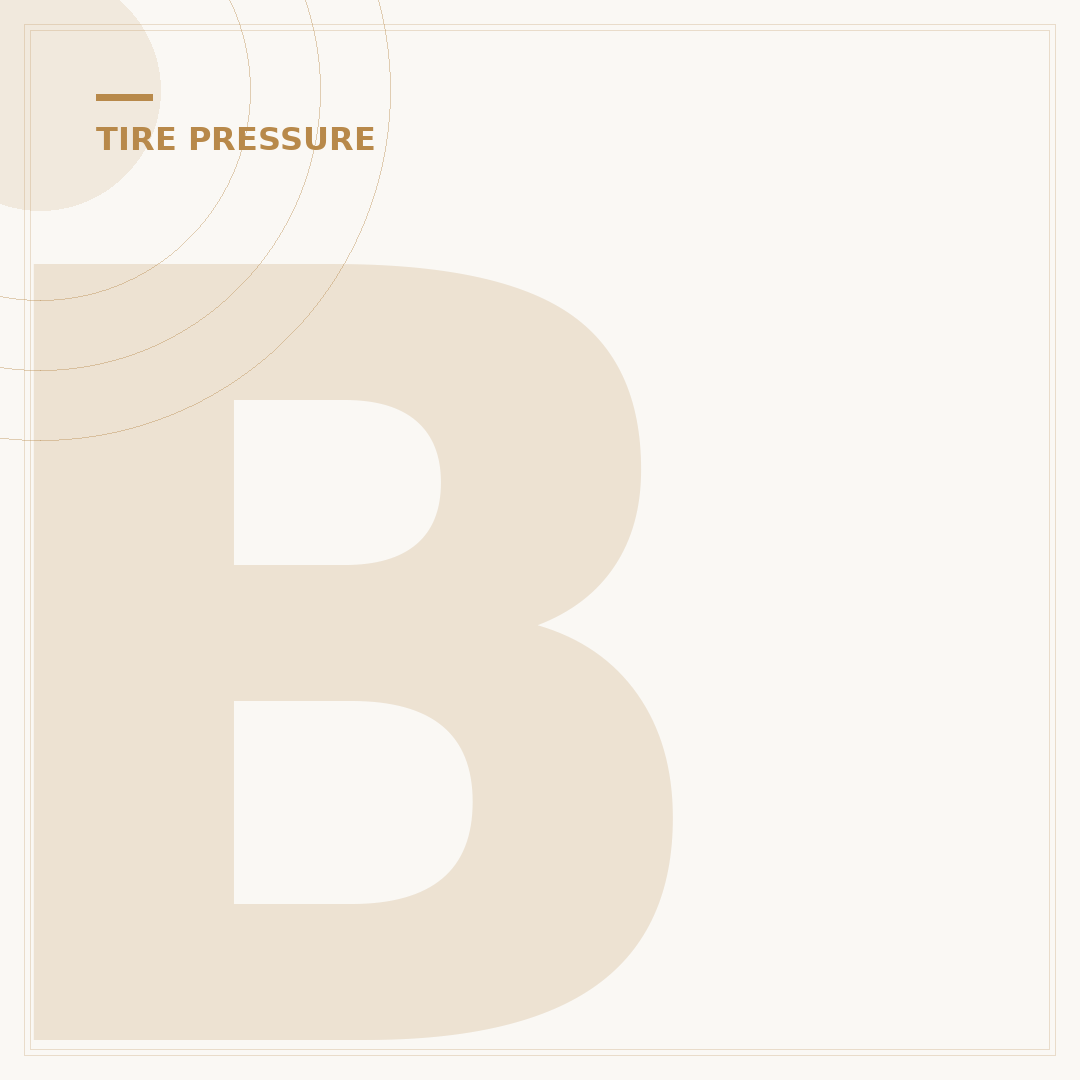 Best Tire Pressure Monitor Valve Stem Caps: Top 5 Picks