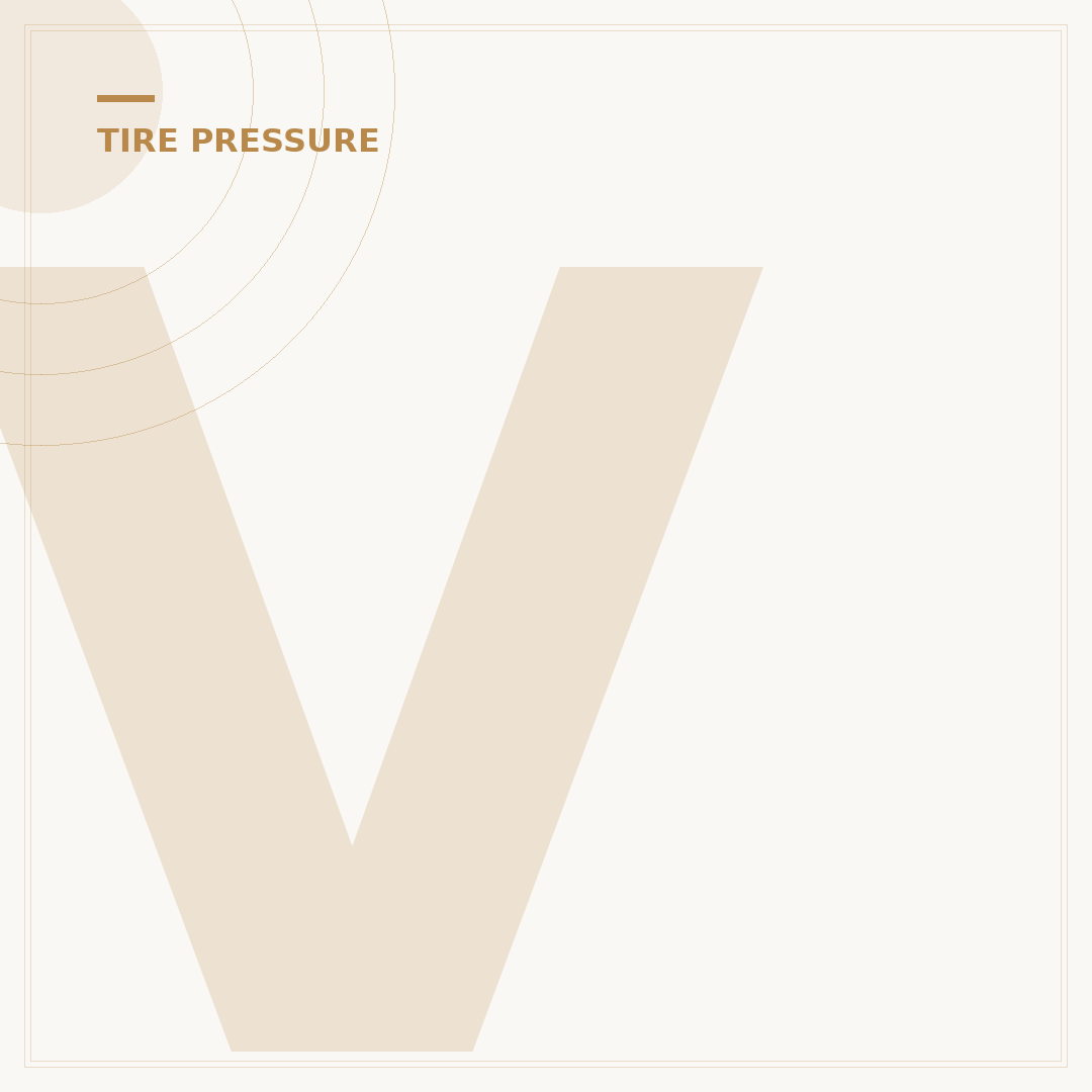 Vintage Schrader Tire Pressure Gauge: 5 Key Features & Uses